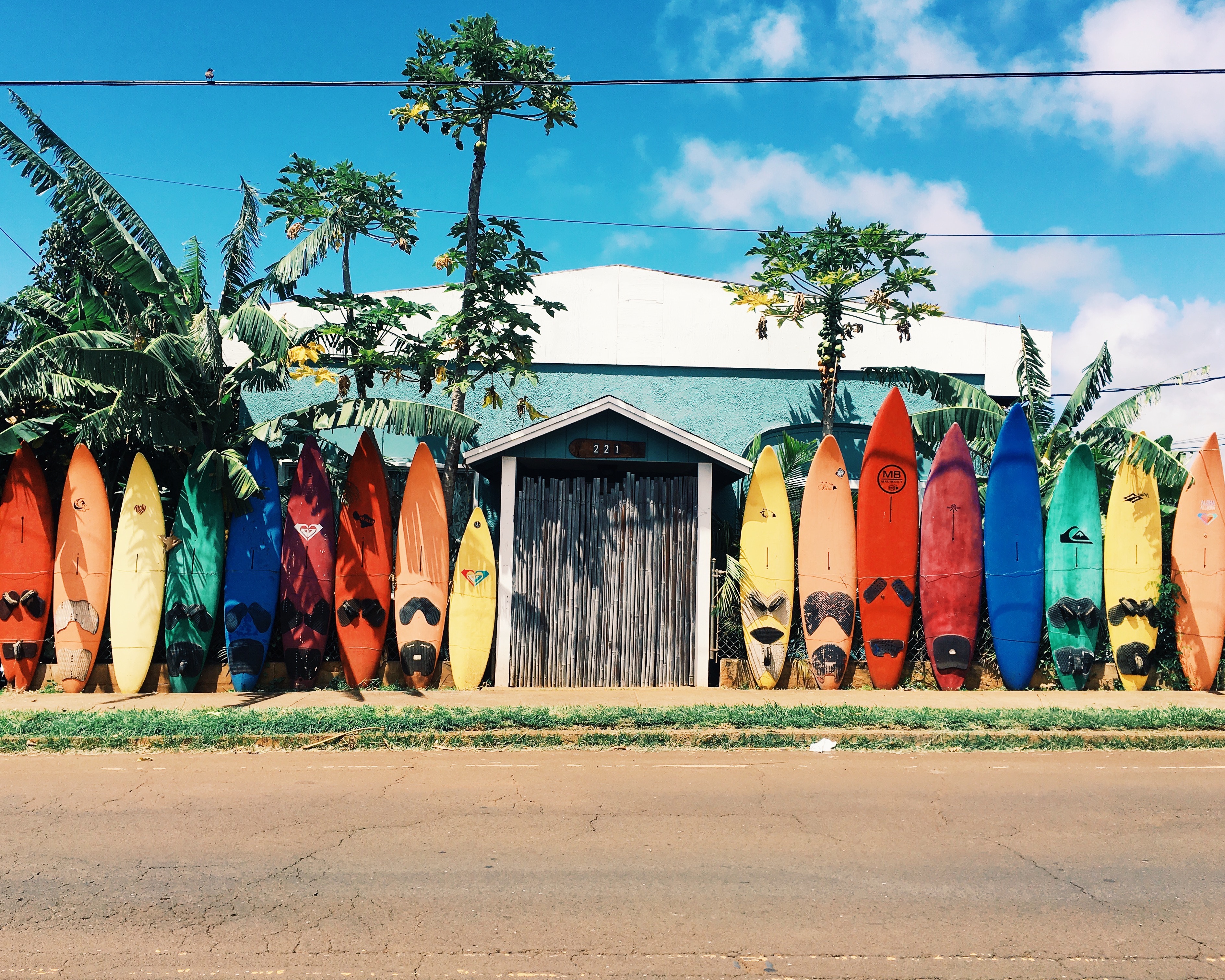 8-raisons-de-partir-en-vacances-a-hawai-surf
