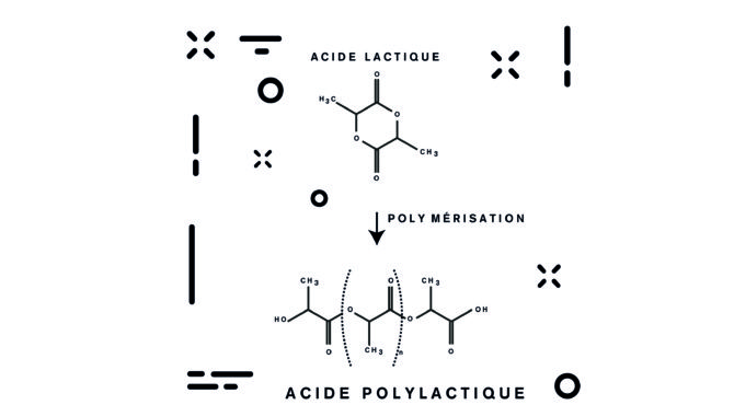 glossaire-lexique-acide-polylactique