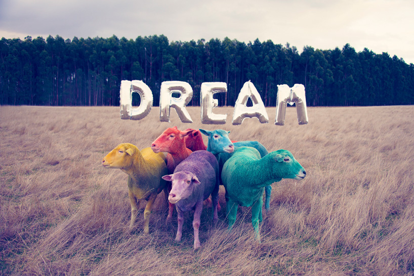 gray-malin-dream-series-rainbow-sheep-la-pigiste-14