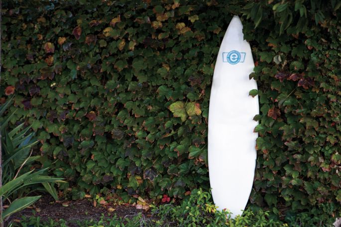 ecovative-design-planche-de-surf-100-ecologique