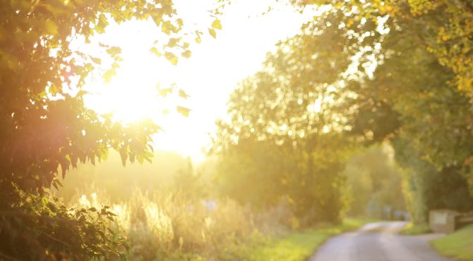 faire-du-velo-a-la-campagne