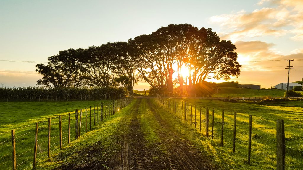 vers-un-mode-de-vie-ecoresponsable-en-campagne