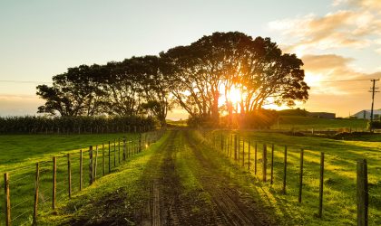 vers-un-mode-de-vie-ecoresponsable-en-campagne