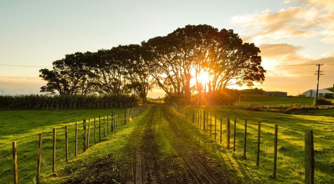 vers-un-mode-de-vie-ecoresponsable-en-campagne