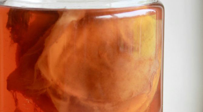 preparer-votre-kombucha-a-la-maison