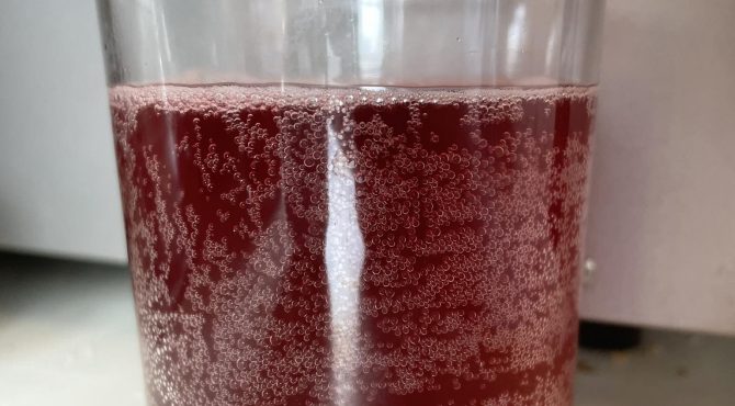 recette-de-kombucha-a-lhibiscus