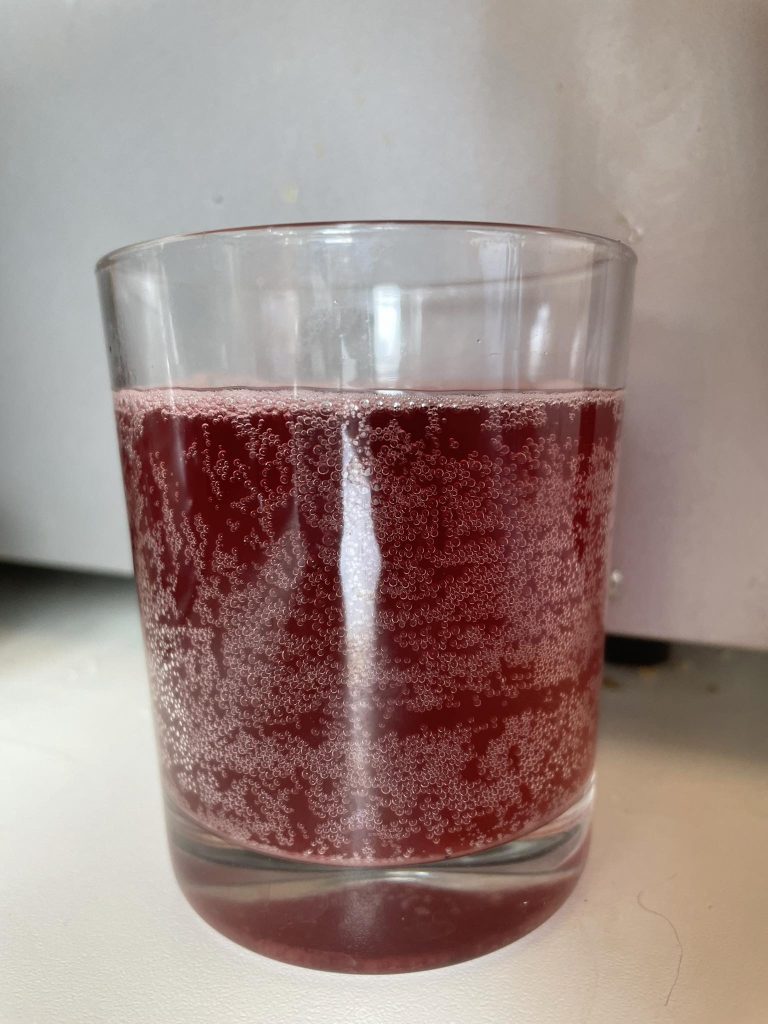 recette-de-kombucha-a-lhibiscus