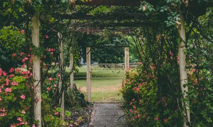 le-jardin-une-ecole-de-vie