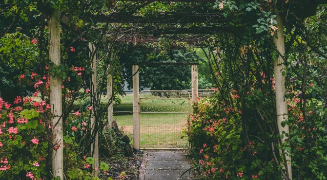 le-jardin-une-ecole-de-vie