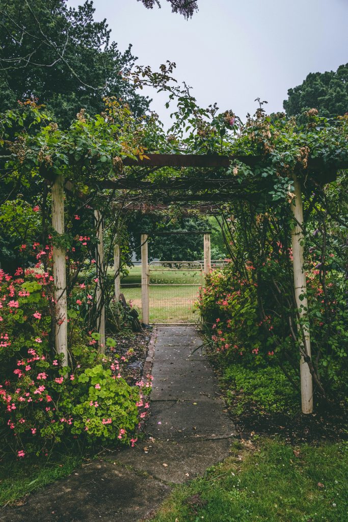 le-jardin-une-ecole-de-vie